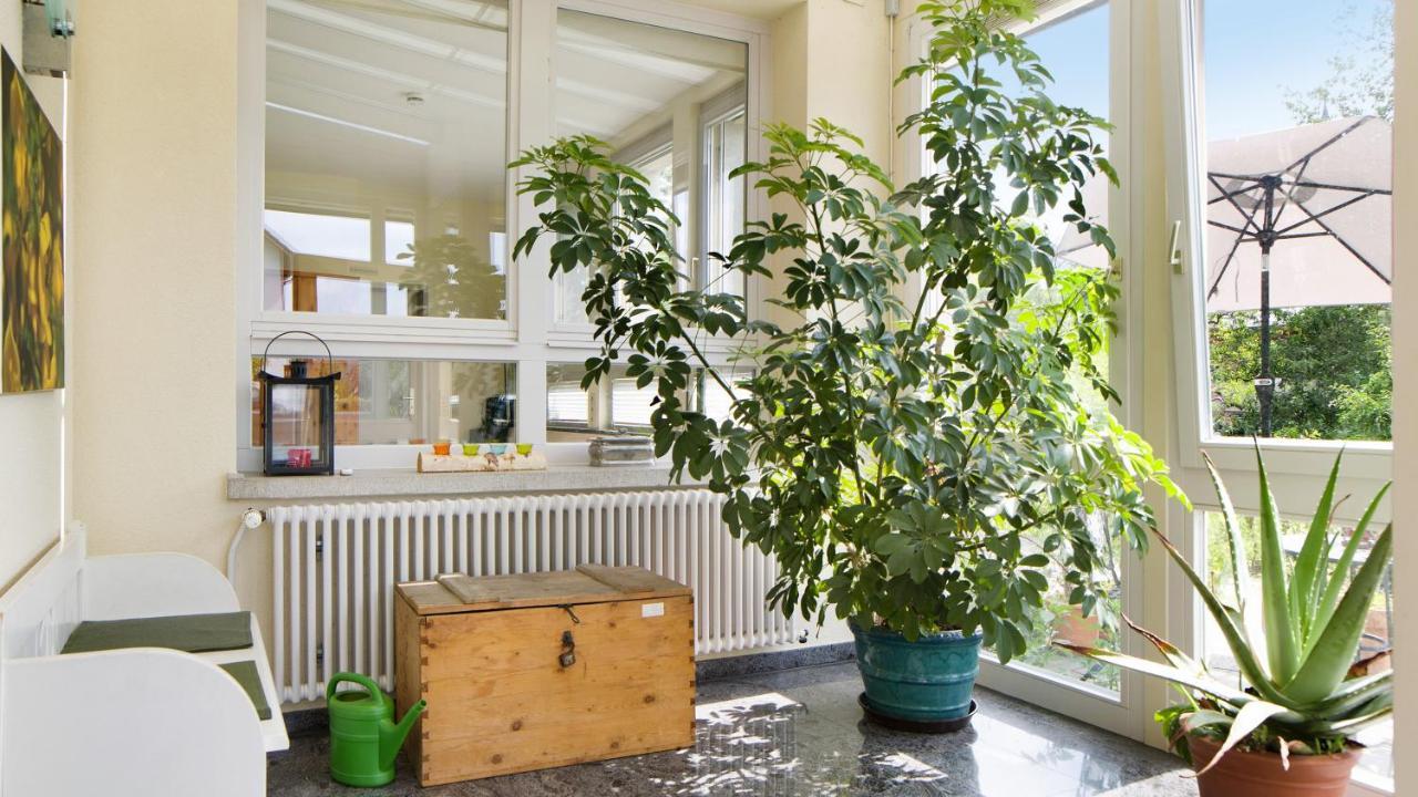 Ferienwohnung Zum Goldenen Kopf Elzach Buitenkant foto